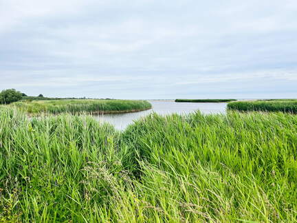 24-06-21 11-32-56 9746